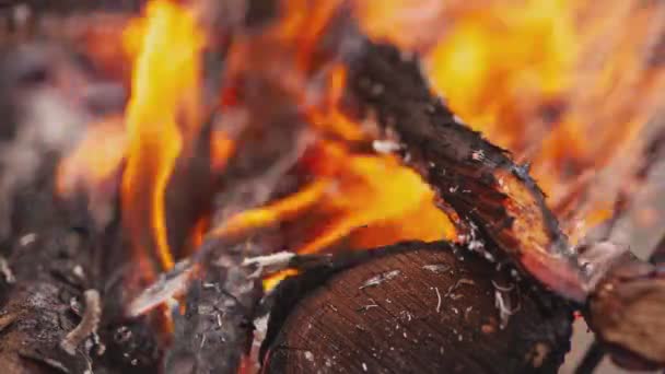 Detalle de madera ardiendo con llamas 2 — Vídeos de Stock