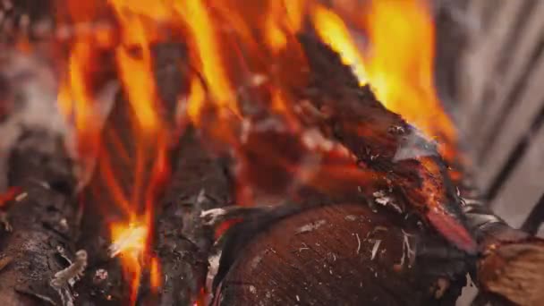 Detalle de madera ardiendo con llamas 3 — Vídeos de Stock