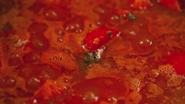 Sos pomidorowy, który wrze szczegółowo 4 — Wideo stockowe