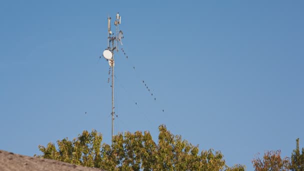 5g Antenndetalj under blå himmel 2 — Stockvideo