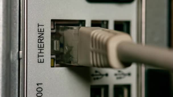 Ethernet soquete detalhe 2 — Vídeo de Stock