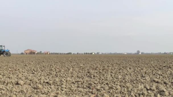 Traktorové prasnice pšenice 4 — Stock video
