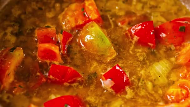 Detalle de la salsa de tomate hirviendo — Vídeo de stock