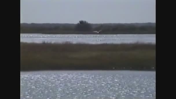 意大利1988, Po River Panorama 2 — 图库视频影像