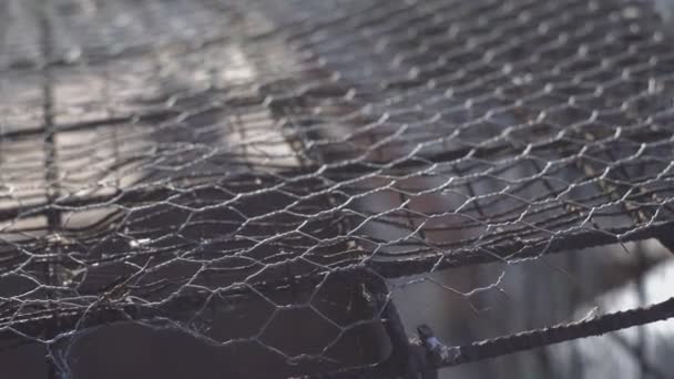 Old wire mesh — Stock Video