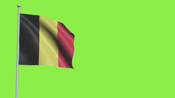 Bandera de Bélgica Slow Motion — Vídeo de stock