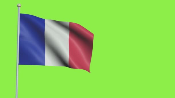 Francja Flaga Wolny ruch — Wideo stockowe