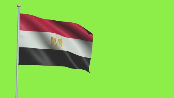 Egito Bandeira Slow Motion — Vídeo de Stock