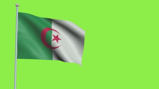 阿尔及利亚国旗慢动作 — 图库视频影像