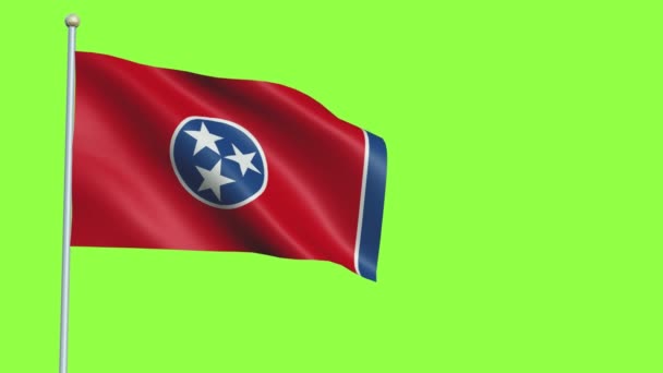 Pomalý pohyb vlajky Tennessee — Stock video