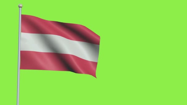 Pomalý pohyb vlajky Rakouska — Stock video