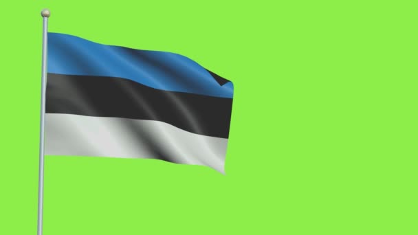 爱沙尼亚国旗缓慢运动 — 图库视频影像