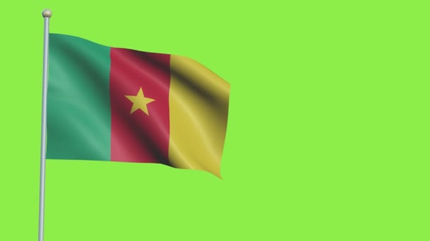 Σημαία Camerun αργή κίνηση — Αρχείο Βίντεο