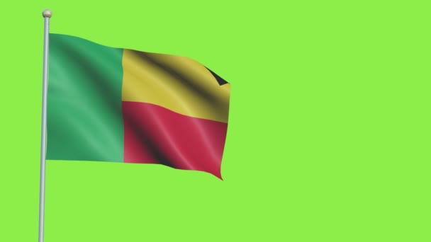 Benin Flag Slow Motion — Stock Video