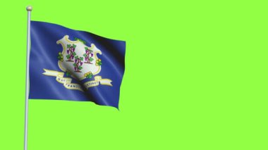 Connecticut Bayrak Yavaş Hareketi