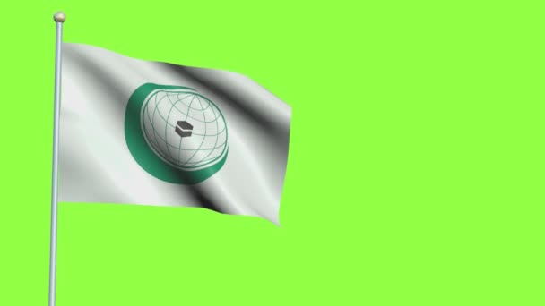 Organizația de cooperare islamică Flag Slow Motion — Videoclip de stoc