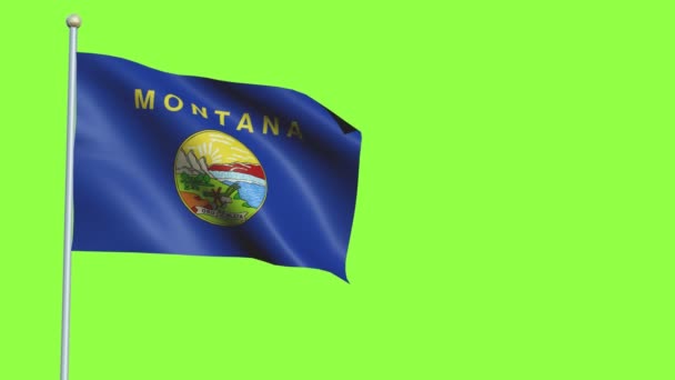 Montana Flag Slow Motion — Stock Video
