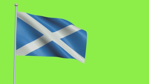 Skócia zászló Lassú mozgás — Stock videók