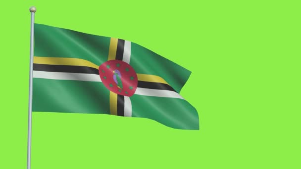 Dominica Bandera de cámara lenta — Vídeo de stock