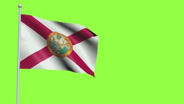 Florida-Flagge in Zeitlupe — Stockvideo