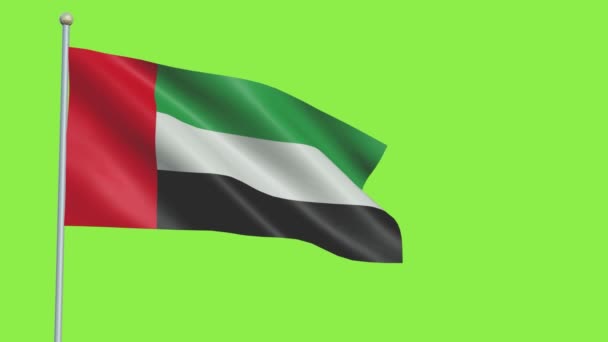 Egyesült Arab Emírségek zászló Lassú mozgás — Stock videók