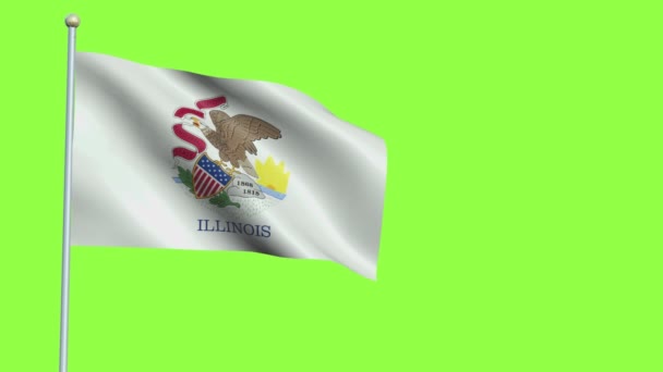 ธงรัฐอิลลินอยส์ การเคลื่อนไหวช้า — วีดีโอสต็อก