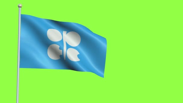 Σημαία OPEC αργή κίνηση — Αρχείο Βίντεο