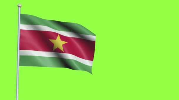 Suriname Bandeira câmera lenta — Vídeo de Stock