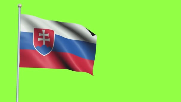 Slovakya Bayrak Yavaş Hareketi — Stok video