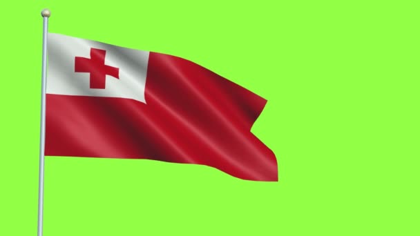 Tonga Bandera de cámara lenta — Vídeo de stock