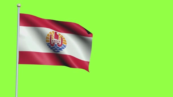 Polinésia Francesa Bandeira Slow Motion — Vídeo de Stock