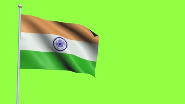 India zászló Lassú mozgás — Stock videók