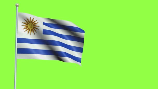 Uruguay Bandera de cámara lenta — Vídeo de stock