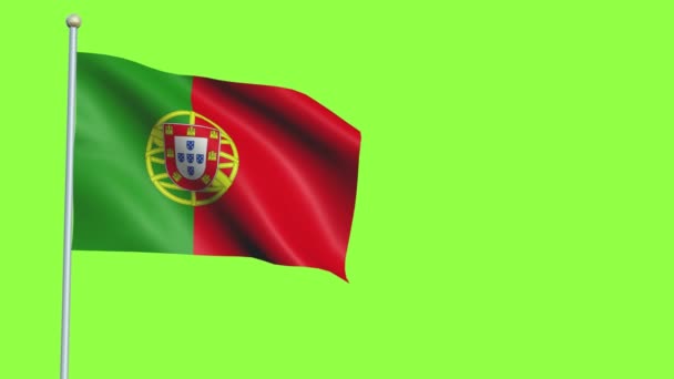 Portugal Flagga Slow Motion — Stockvideo