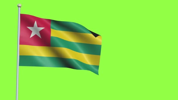Pergerakan Lambat Bendera Togo — Stok Video