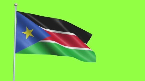Bandiera del Sudan meridionale Slow Motion — Video Stock
