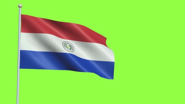 Paraguay flagga långsam rörelse — Stockvideo