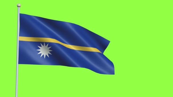 Pomalý pohyb Nauru NauruFlag — Stock video