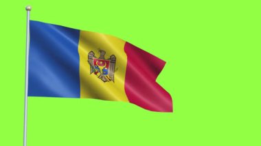 Moldova Bayrak Yavaş Hareketi