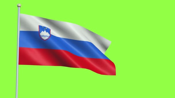 Slovenia Flagg Langsom bevegelse – stockvideo