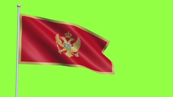 Montenegro flagga Slow Motion — Stockvideo