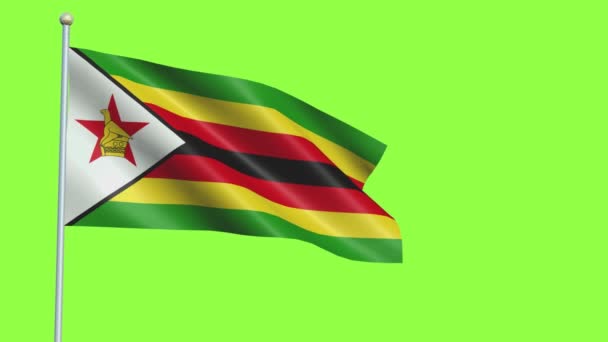 Zimbabwe flagga Slow Motion — Stockvideo