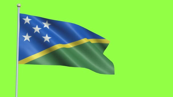 Salomon Island Flag Slow Motion — Stockvideo