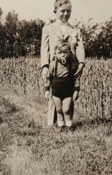 Villanova Del Ghebbo Itália Abril 1954 Crianças Campo Década — Fotografia de Stock