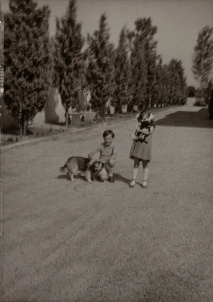Villanova Del Ghebbo Olaszország 1966 Április Években Gyerekek Kutyával Játszanak — Stock Fotó