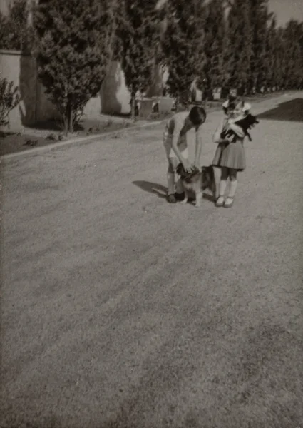 Villanova Del Ghebbo Olaszország 1966 Április Években Gyerekek Kutyával Játszanak — Stock Fotó