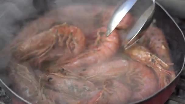 Pot cu creveți în gătit — Videoclip de stoc