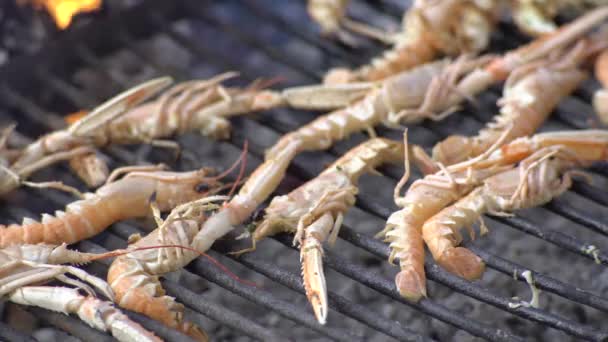 Grilled prawns cooking 2 — Stock Video