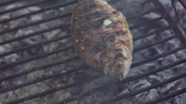 Grilled sea bream — Stock Video