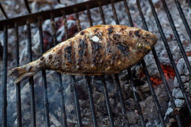 Izgarada deniz çerezi